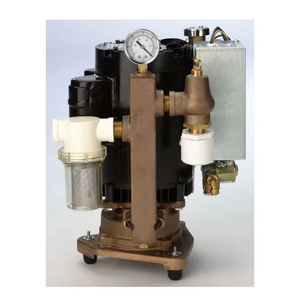 RAMVAC Single Water Ring Pump